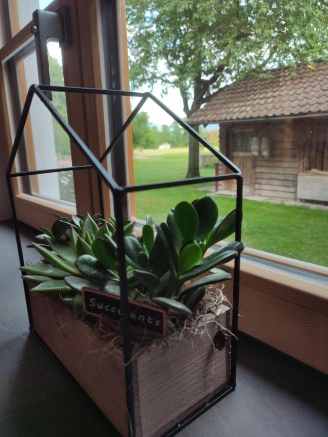Appartement Schoberkurve à Raubling Extérieur photo